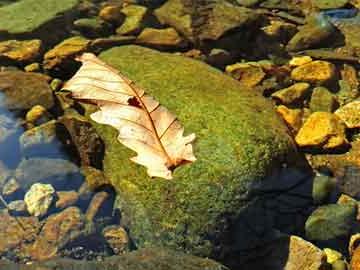 郑多燕减肥操，塑造完美身材的秘诀，郑多燕减肥操，塑造完美身材的终极秘诀